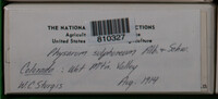 Image Associated With the Occurence